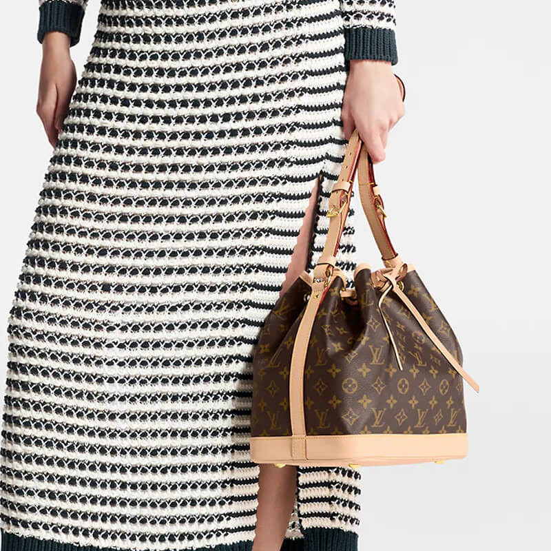 L0vis Vvtt0n Petit Noé M46984