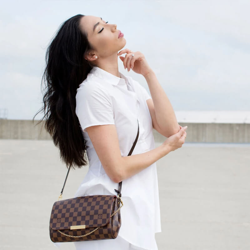 ouis Vvtt0n Favorite PM N41276