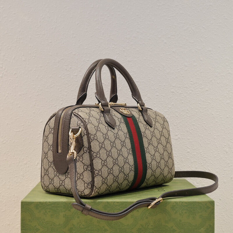 Gvc*1 Ophidia GG Small