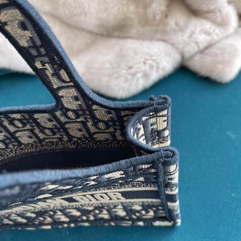 D10r Book Tote Mini Canvas Blue