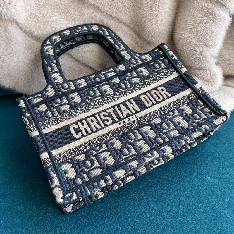 D10r Book Tote Mini Canvas Blue