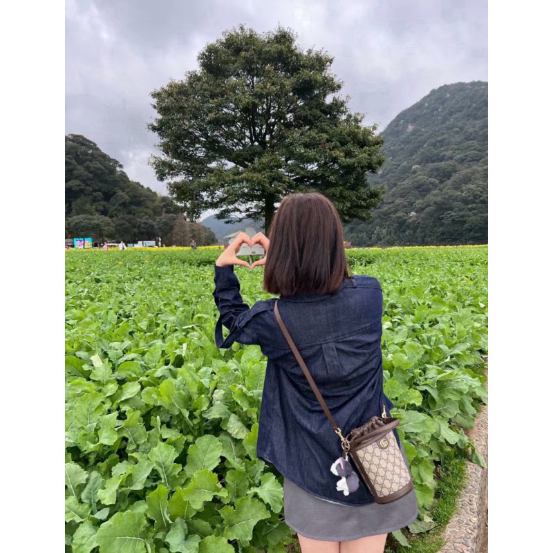 Gvc*1 Mini Ophidia Bucket Bag 760199